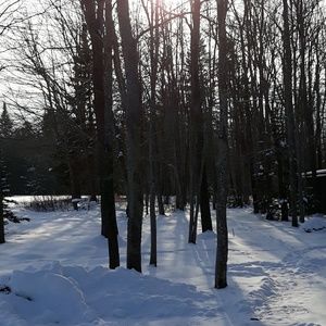 Meet your Posher, Darcy